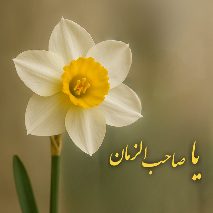 اللهم عجل لولیک الفرج